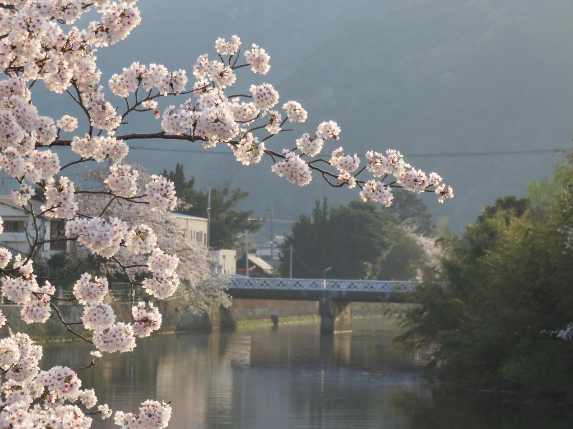 御宿しんしま Matsuzaki  Esterno foto